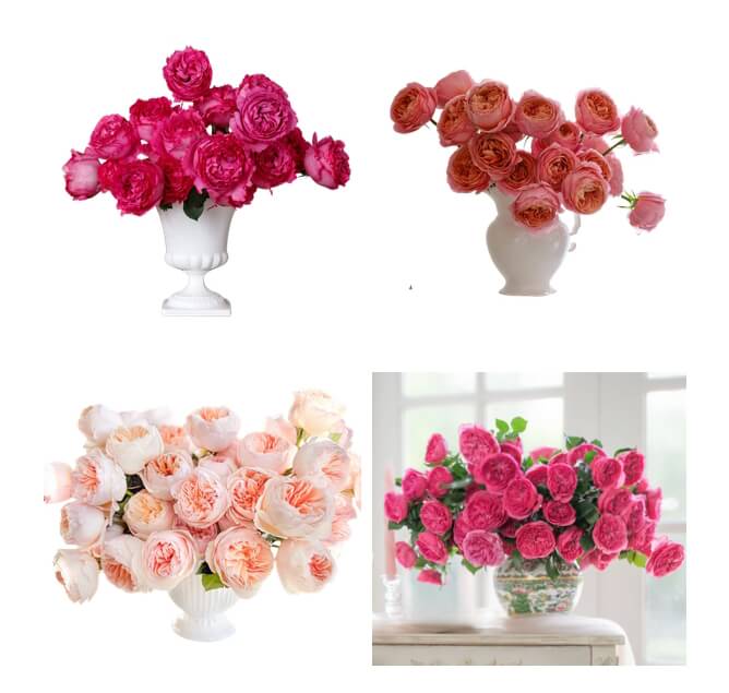 Valentine's Day Rose Arrangement